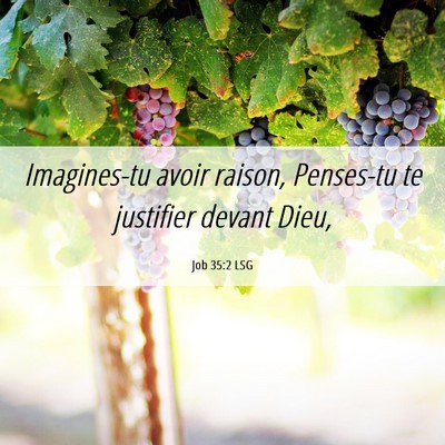 Picture 06 - Job 35:2 LSG - Imagines-tu avoir raison, Penses-tu te justifier - Bible Verse Picture