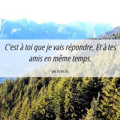Picture 06 - Job 35:4 LSG - C'est à toi que je vais répondre, Et à tes - Bible Verse Picture