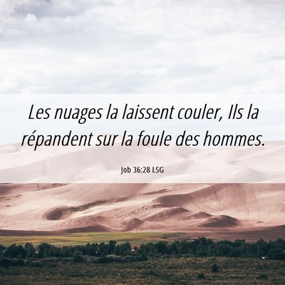 Picture 06 - Job 36:28 LSG - Les nuages la laissent couler, Ils la répandent - Bible Verse Picture