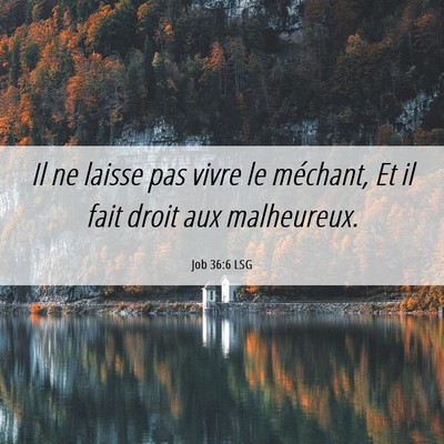 Picture 06 - Job 36:6 LSG - Il ne laisse pas vivre le méchant, Et il fait - Bible Verse Picture