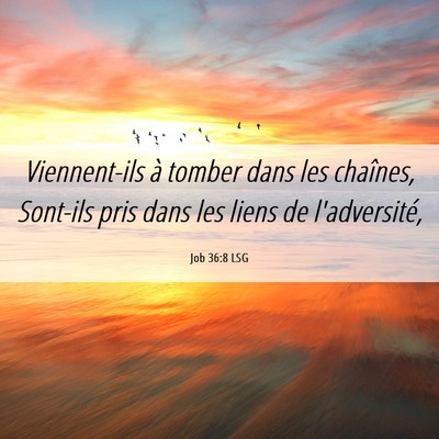 Picture 06 - Job 36:8 LSG - Viennent-ils à tomber dans les chaînes, - Bible Verse Picture