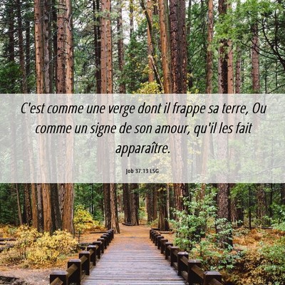 Picture 06 - Job 37:13 LSG - C'est comme une verge dont il frappe sa terre, Ou - Bible Verse Picture