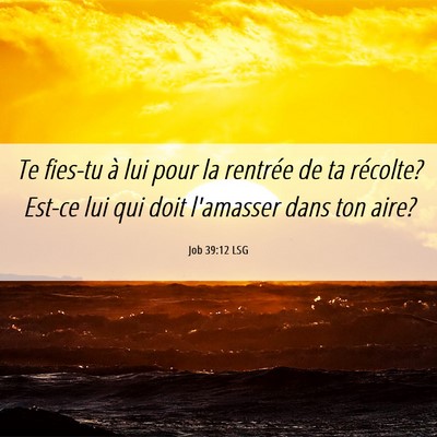 Picture 06 - Job 39:12 LSG - Te fies-tu à lui pour la rentrée de ta - Bible Verse Picture