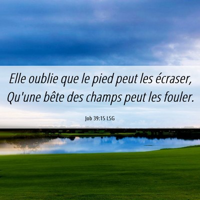 Picture 06 - Job 39:15 LSG - Elle oublie que le pied peut les écraser, Qu'une - Bible Verse Picture