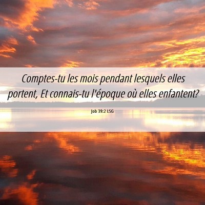 Picture 06 - Job 39:2 LSG - Comptes-tu les mois pendant lesquels elles - Bible Verse Picture