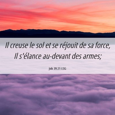 Picture 06 - Job 39:21 LSG - Il creuse le sol et se réjouit de sa force, Il - Bible Verse Picture