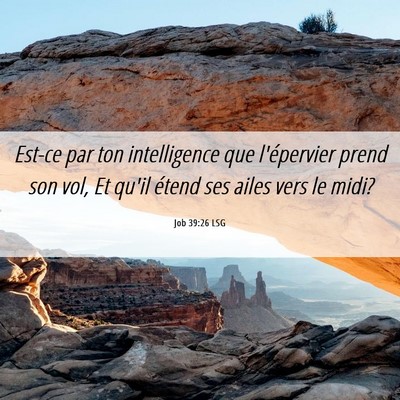 Picture 06 - Job 39:26 LSG - Est-ce par ton intelligence que l'épervier prend - Bible Verse Picture