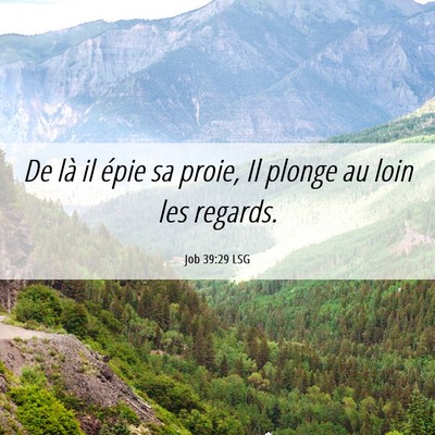 Picture 06 - Job 39:29 LSG - De là il épie sa proie, Il plonge au loin les - Bible Verse Picture