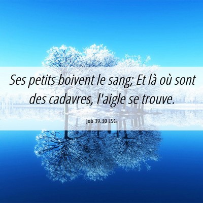 Picture 06 - Job 39:30 LSG - Ses petits boivent le sang; Et là où sont des - Bible Verse Picture