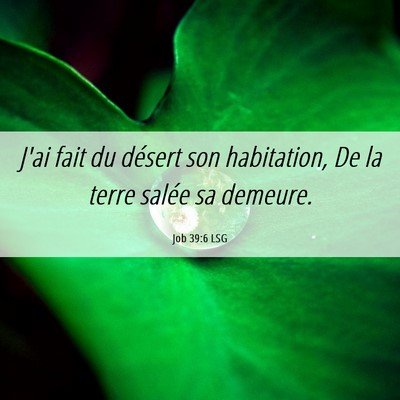 Picture 06 - Job 39:6 LSG - J'ai fait du désert son habitation, De la terre - Bible Verse Picture