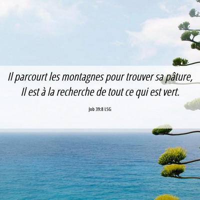 Picture 06 - Job 39:8 LSG - Il parcourt les montagnes pour trouver sa - Bible Verse Picture