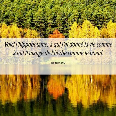 Picture 06 - Job 40:15 LSG - Voici l'hippopotame, à qui j'ai donné la vie - Bible Verse Picture