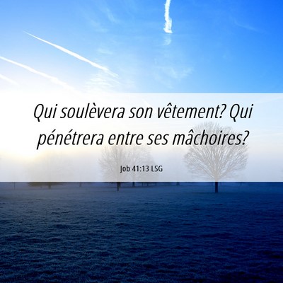 Picture 06 - Job 41:13 LSG - Qui soulèvera son vêtement? Qui pénétrera - Bible Verse Picture
