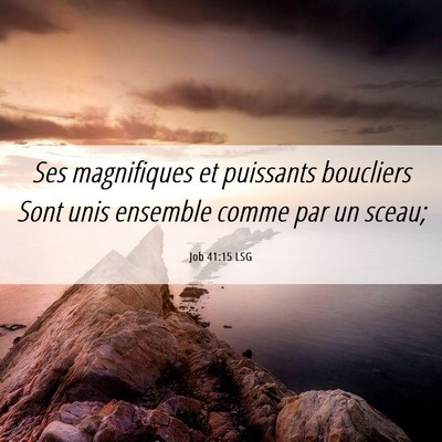 Picture 06 - Job 41:15 LSG - Ses magnifiques et puissants boucliers Sont unis - Bible Verse Picture