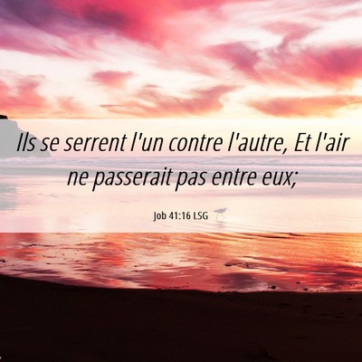 Picture 06 - Job 41:16 LSG - Ils se serrent l'un contre l'autre, Et l'air ne - Bible Verse Picture