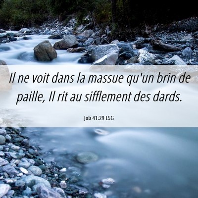 Picture 06 - Job 41:29 LSG - Il ne voit dans la massue qu'un brin de paille, - Bible Verse Picture