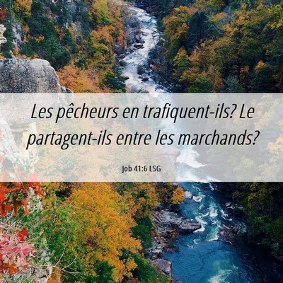 Picture 06 - Job 41:6 LSG - Les pêcheurs en trafiquent-ils? Le partagent-ils - Bible Verse Picture