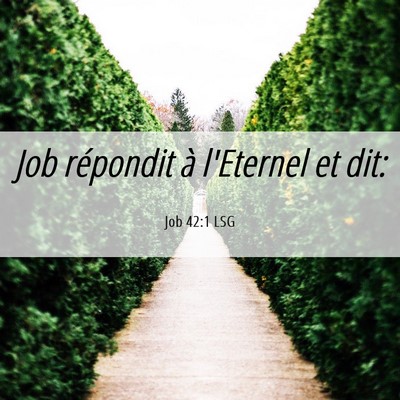 Picture 06 - Job 42:1 LSG - Job répondit à l'Eternel et - Bible Verse Picture