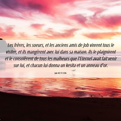 Picture 06 - Job 42:11 LSG - Les frères, les soeurs, et les anciens amis de - Bible Verse Picture