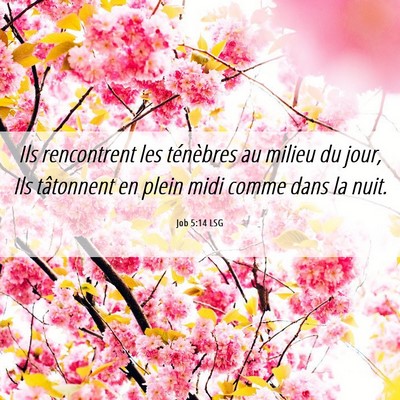 Picture 06 - Job 5:14 LSG - Ils rencontrent les ténèbres au milieu du jour, - Bible Verse Picture