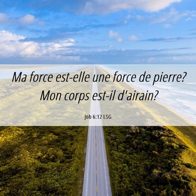 Picture 06 - Job 6:12 LSG - Ma force est-elle une force de pierre? Mon corps - Bible Verse Picture
