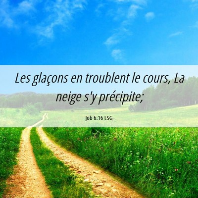 Picture 06 - Job 6:16 LSG - Les glaçons en troublent le cours, La neige s'y - Bible Verse Picture