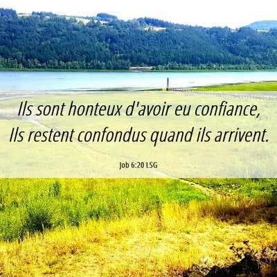 Picture 06 - Job 6:20 LSG - Ils sont honteux d'avoir eu confiance, Ils - Bible Verse Picture