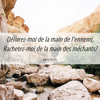 Picture 06 - Job 6:23 LSG - Délivrez-moi de la main de l'ennemi, - Bible Verse Picture