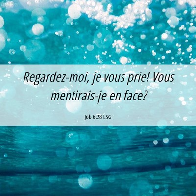 Picture 06 - Job 6:28 LSG - Regardez-moi, je vous prie! Vous mentirais-je en - Bible Verse Picture