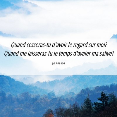 Picture 06 - Job 7:19 LSG - Quand cesseras-tu d'avoir le regard sur moi? - Bible Verse Picture