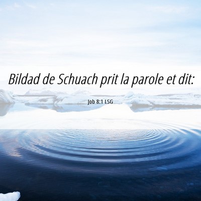 Picture 06 - Job 8:1 LSG - Bildad de Schuach prit la parole et - Bible Verse Picture