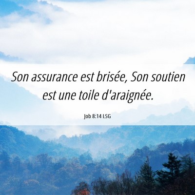 Picture 06 - Job 8:14 LSG - Son assurance est brisée, Son soutien est une - Bible Verse Picture