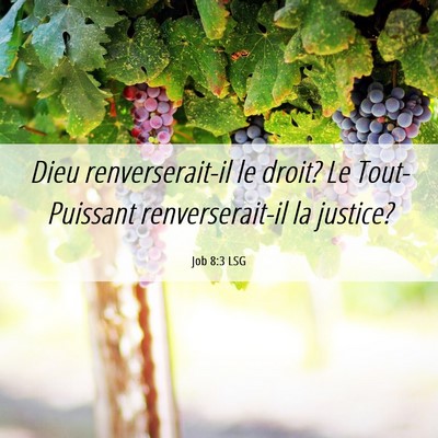 Picture 06 - Job 8:3 LSG - Dieu renverserait-il le droit? Le Tout-Puissant - Bible Verse Picture