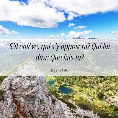 Picture 06 - Job 9:12 LSG - S'il enlève, qui s'y opposera? Qui lui dira: Que - Bible Verse Picture