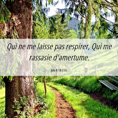 Picture 06 - Job 9:18 LSG - Qui ne me laisse pas respirer, Qui me rassasie - Bible Verse Picture