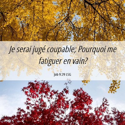 Picture 06 - Job 9:29 LSG - Je serai jugé coupable; Pourquoi me fatiguer en - Bible Verse Picture
