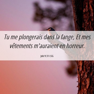 Picture 06 - Job 9:31 LSG - Tu me plongerais dans la fange, Et mes vêtements - Bible Verse Picture