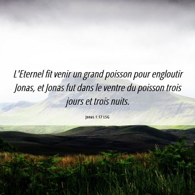 Picture 06 - Jonas 1:17 LSG - L'Eternel fit venir un grand poisson pour - Bible Verse Picture