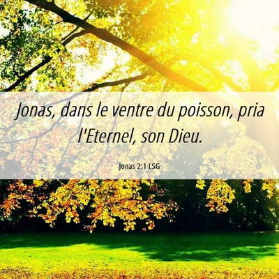 Picture 06 - Jonas 2:1 LSG - Jonas, dans le ventre du poisson, pria l'Eternel, - Bible Verse Picture