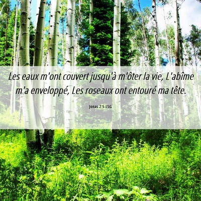Picture 06 - Jonas 2:5 LSG - Les eaux m'ont couvert jusqu'à m'ôter la vie, - Bible Verse Picture