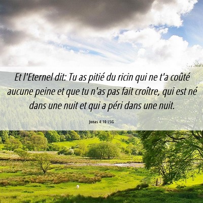 Picture 06 - Jonas 4:10 LSG - Et l'Eternel dit: Tu as pitié du ricin qui ne - Bible Verse Picture