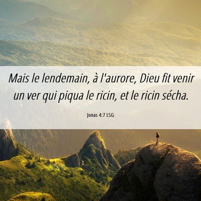 Picture 06 - Jonas 4:7 LSG - Mais le lendemain, à l'aurore, Dieu fit venir un - Bible Verse Picture