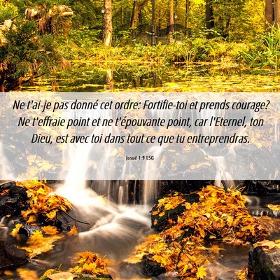 Picture 06 - Josué 1:9 LSG - Ne t'ai-je pas donné cet ordre: Fortifie-toi et - Bible Verse Picture