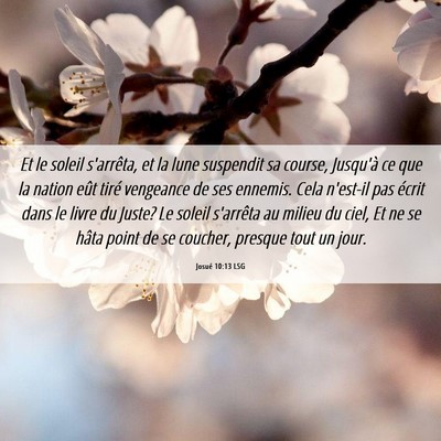 Picture 06 - Josué 10:13 LSG - Et le soleil s'arrêta, et la lune suspendit sa - Bible Verse Picture