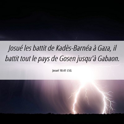 Picture 06 - Josué 10:41 LSG - Josué les battit de Kadès-Barnéa à Gaza, il - Bible Verse Picture