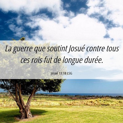 Picture 06 - Josué 11:18 LSG - La guerre que soutint Josué contre tous ces rois - Bible Verse Picture