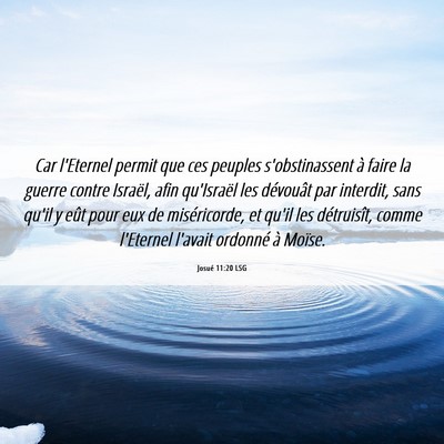 Picture 06 - Josué 11:20 LSG - Car l'Eternel permit que ces peuples - Bible Verse Picture