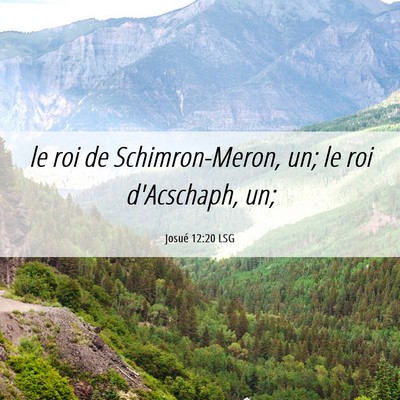 Picture 06 - Josué 12:20 LSG - le roi de Schimron-Meron, un; le roi d'Acschaph, - Bible Verse Picture