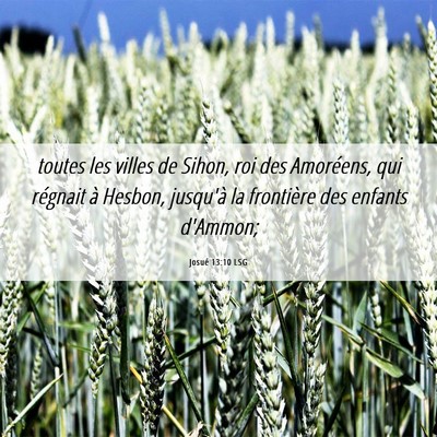 Picture 06 - Josué 13:10 LSG - toutes les villes de Sihon, roi des Amoréens, - Bible Verse Picture
