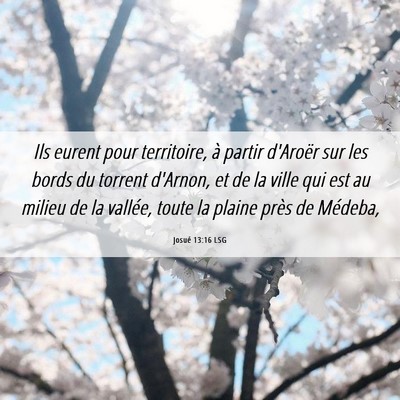 Picture 06 - Josué 13:16 LSG - Ils eurent pour territoire, à partir d'Aroër - Bible Verse Picture